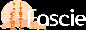 logo eucalyptus.cz